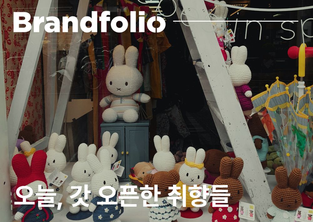 오늘의 인사이트 썸네일